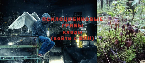 трава Арсеньев