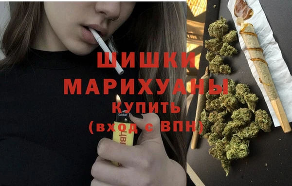 трава Арсеньев